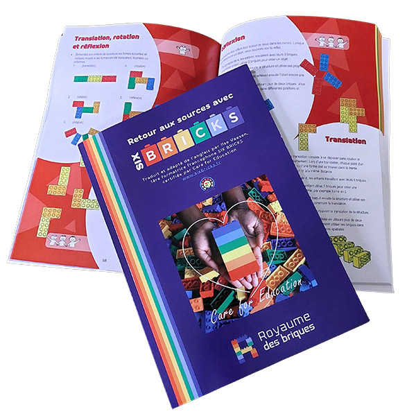 Boek "Terug naar de basis met SIX BRICKS"